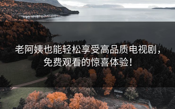 老阿姨也能轻松享受高品质电视剧，免费观看的惊喜体验！