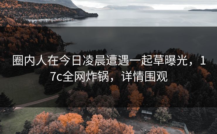 圈内人在今日凌晨遭遇一起草曝光，17c全网炸锅，详情围观