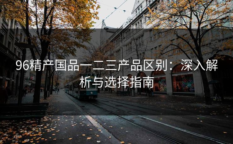 96精产国品一二三产品区别：深入解析与选择指南