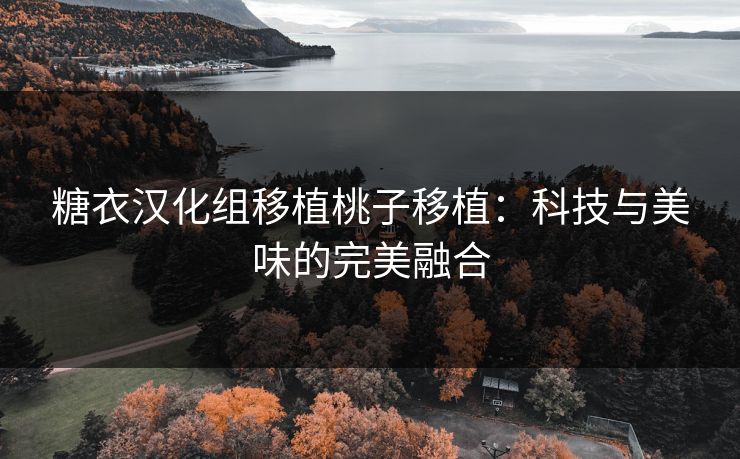 糖衣汉化组移植桃子移植：科技与美味的完美融合