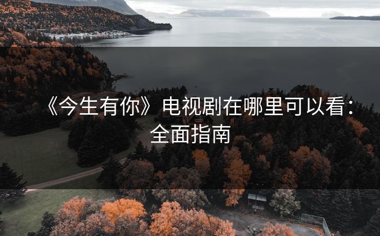 《今生有你》电视剧在哪里可以看:全面指南 《今生有你》电视剧在哪里可以看:全面指南