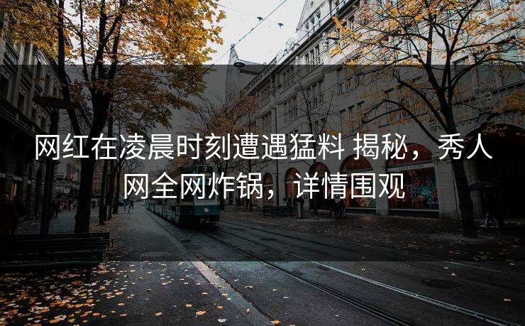 网红在凌晨时刻遭遇猛料 揭秘，秀人网全网炸锅，详情围观