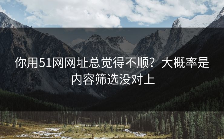 你用51网网址总觉得不顺？大概率是内容筛选没对上
