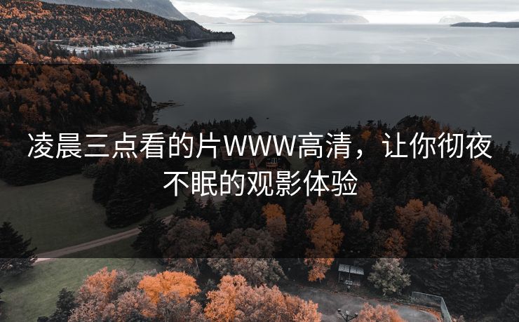 凌晨三点看的片WWW高清，让你彻夜不眠的观影体验