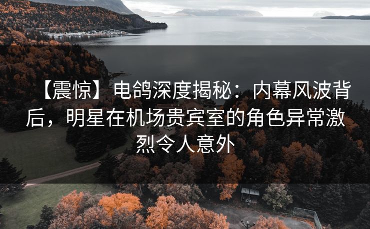 【震惊】电鸽深度揭秘：内幕风波背后，明星在机场贵宾室的角色异常激烈令人意外